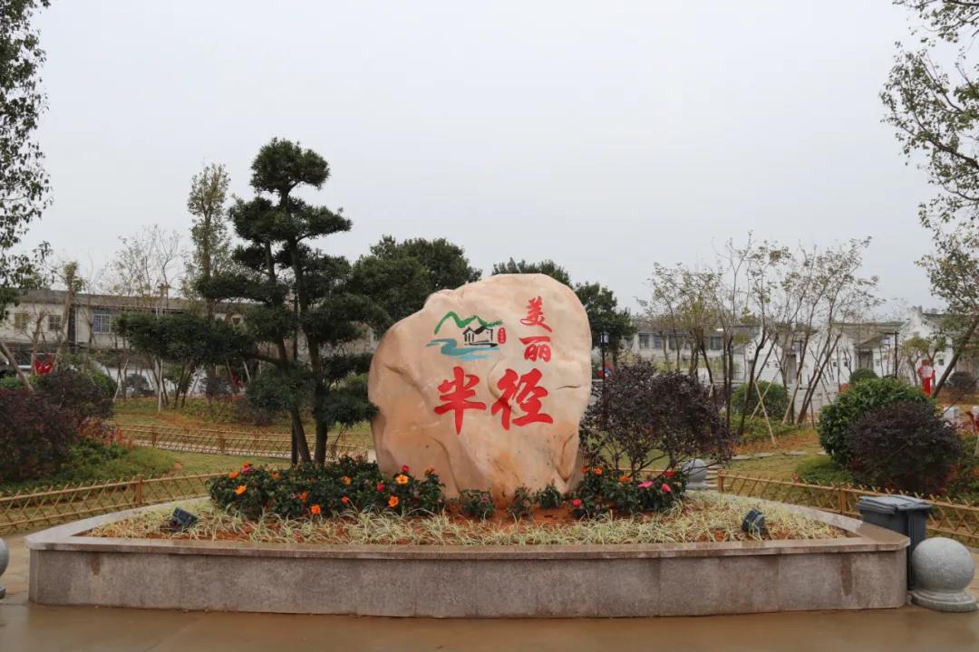 人大视察0307 (6).jpg