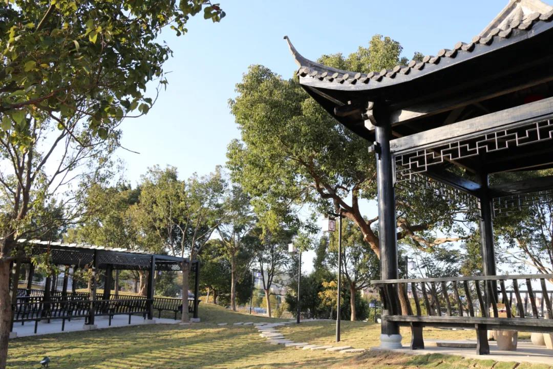 人大视察0307 (19).jpg
