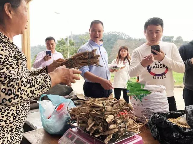 散打哥一行直播了解连樟村特色农产品.jpeg