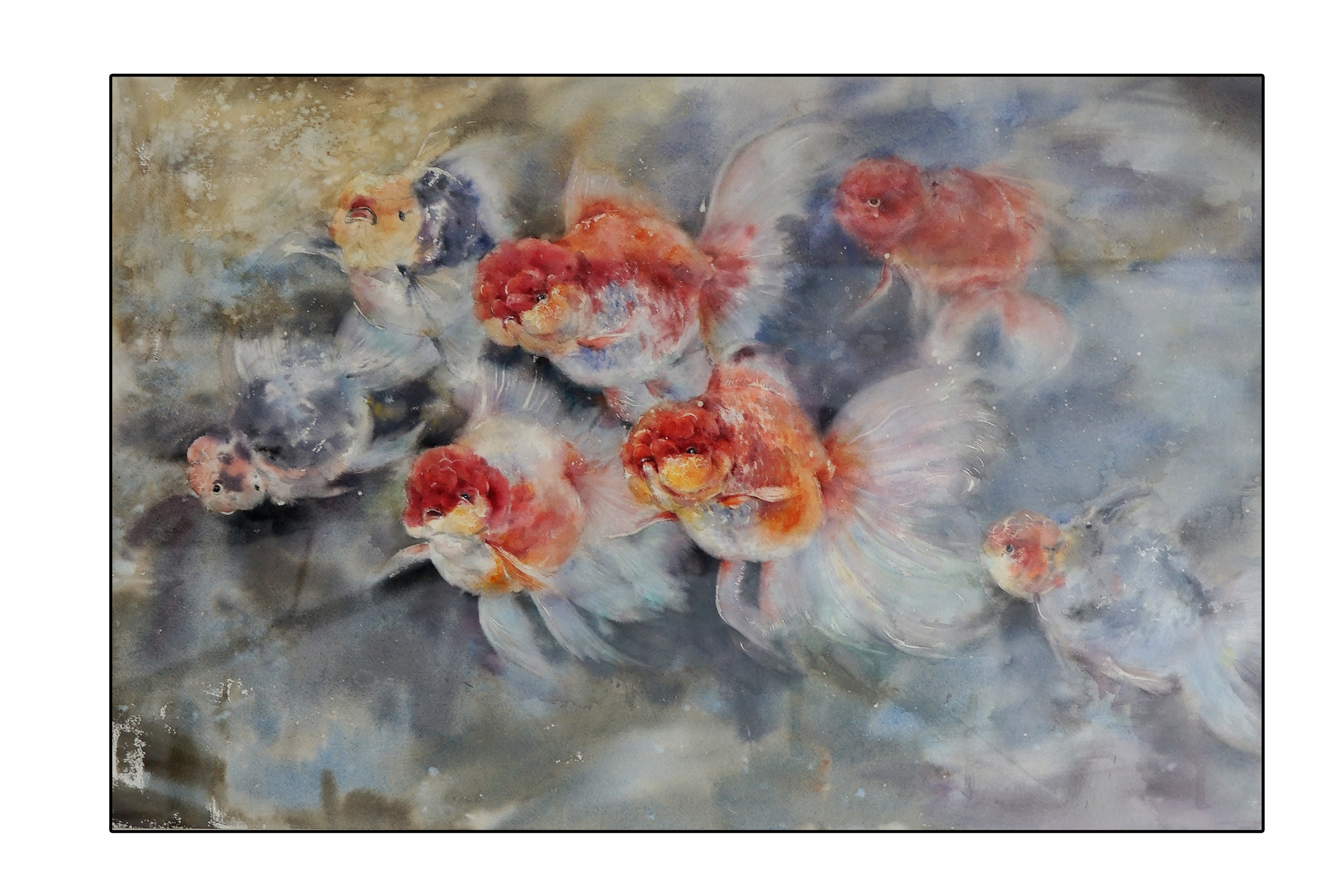 卢倩怡 鱼之乐 水彩 53X76CM.JPG