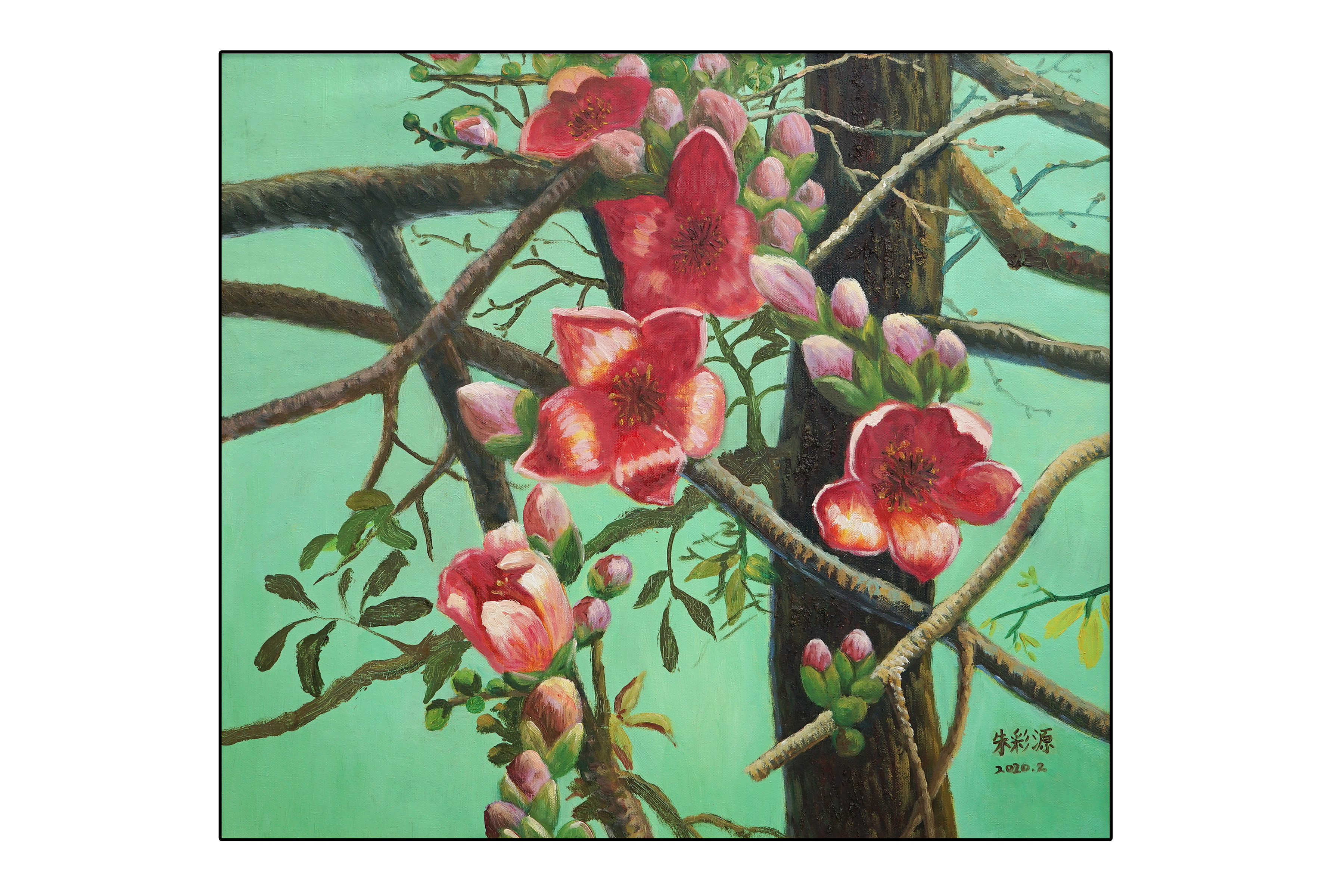 朱彩源 红棉盛赞 油画 80X70CM.JPG