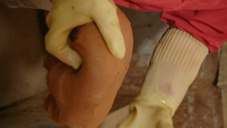 6.gif