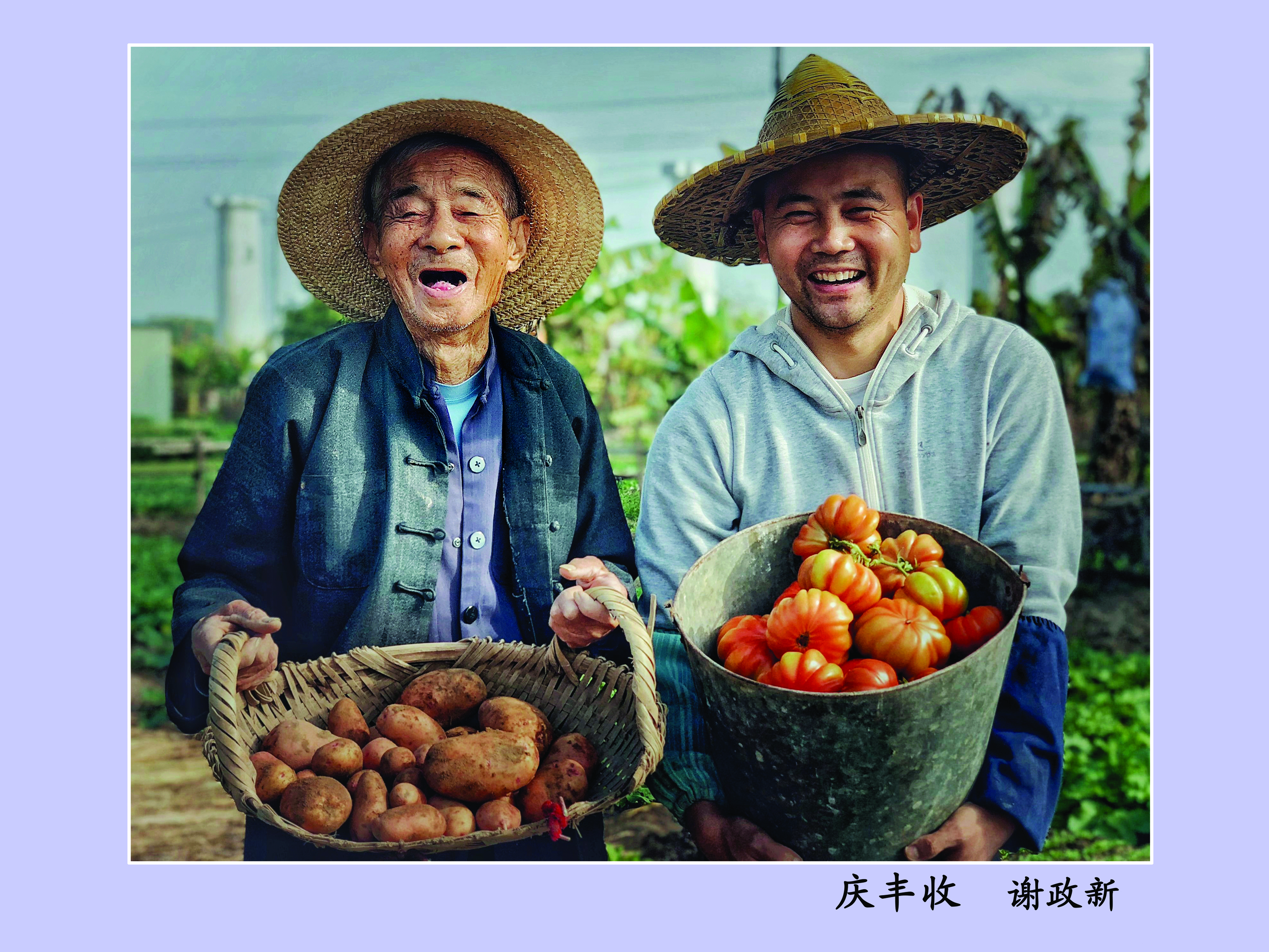 庆丰收  谢政新.jpg