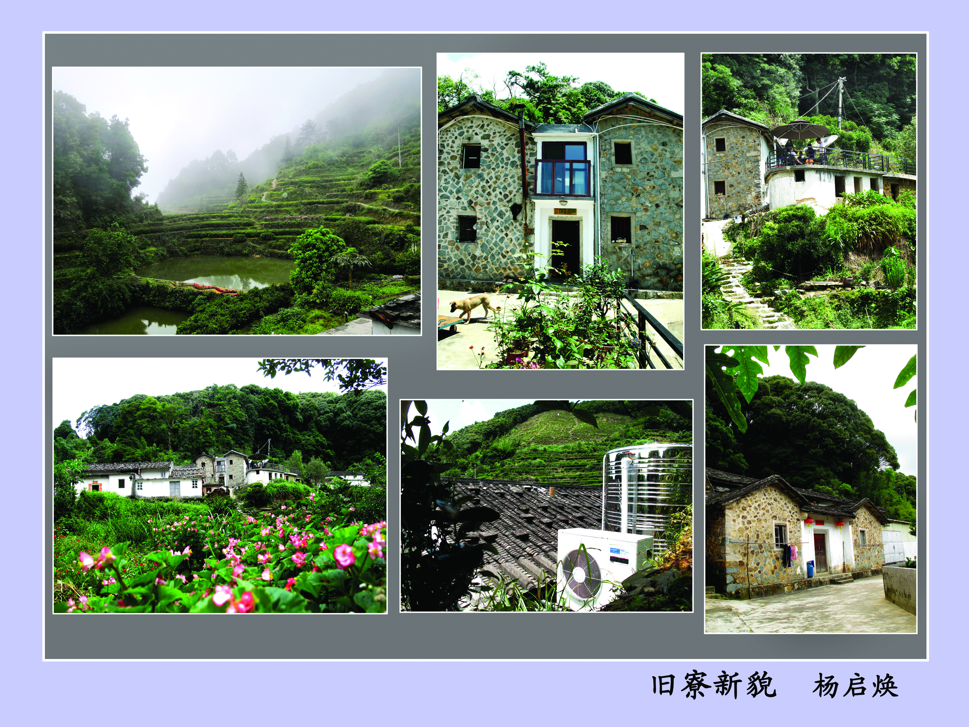 旧寮新貌  杨启焕.jpg