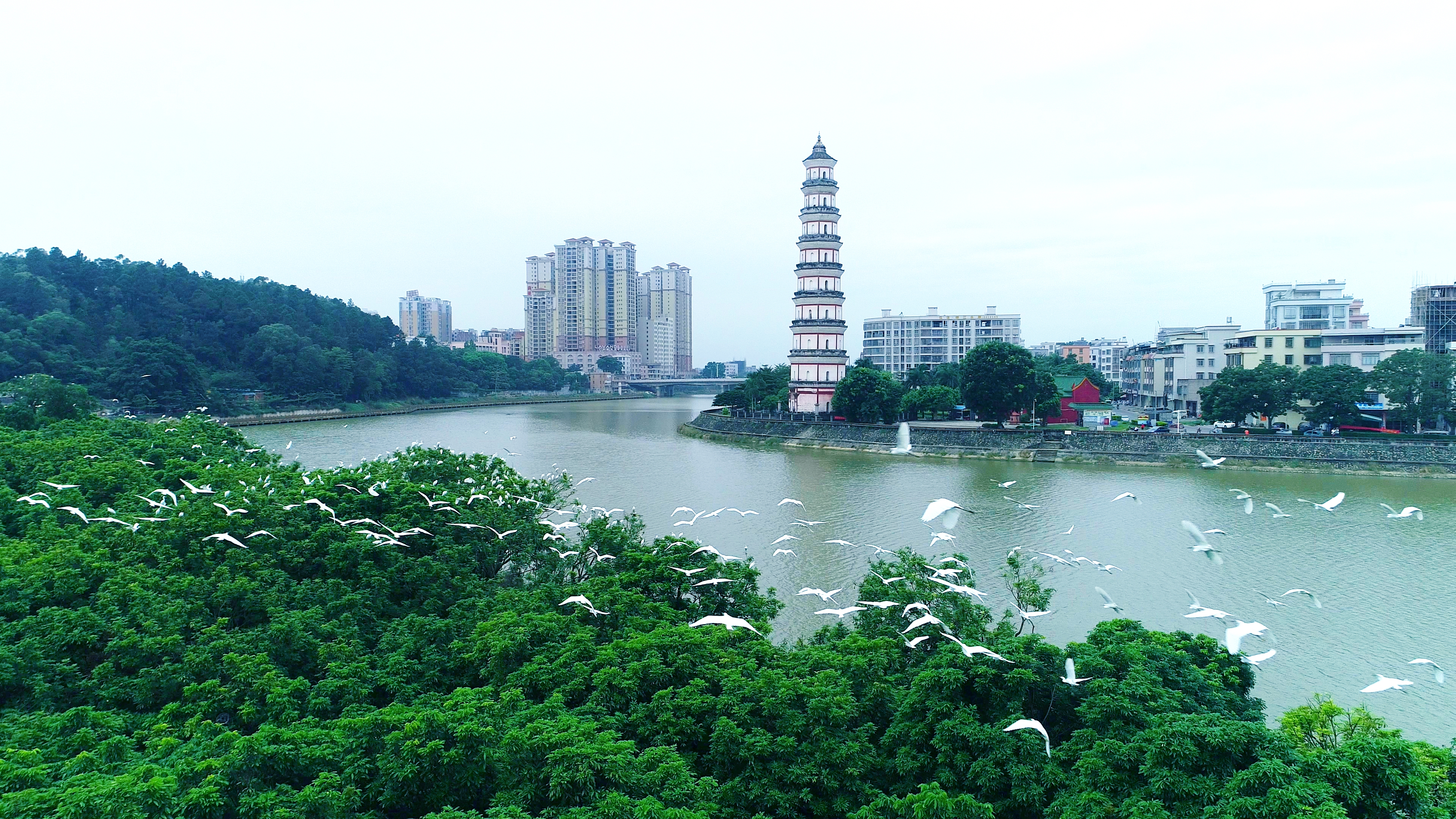 高州风景旅游景点图片