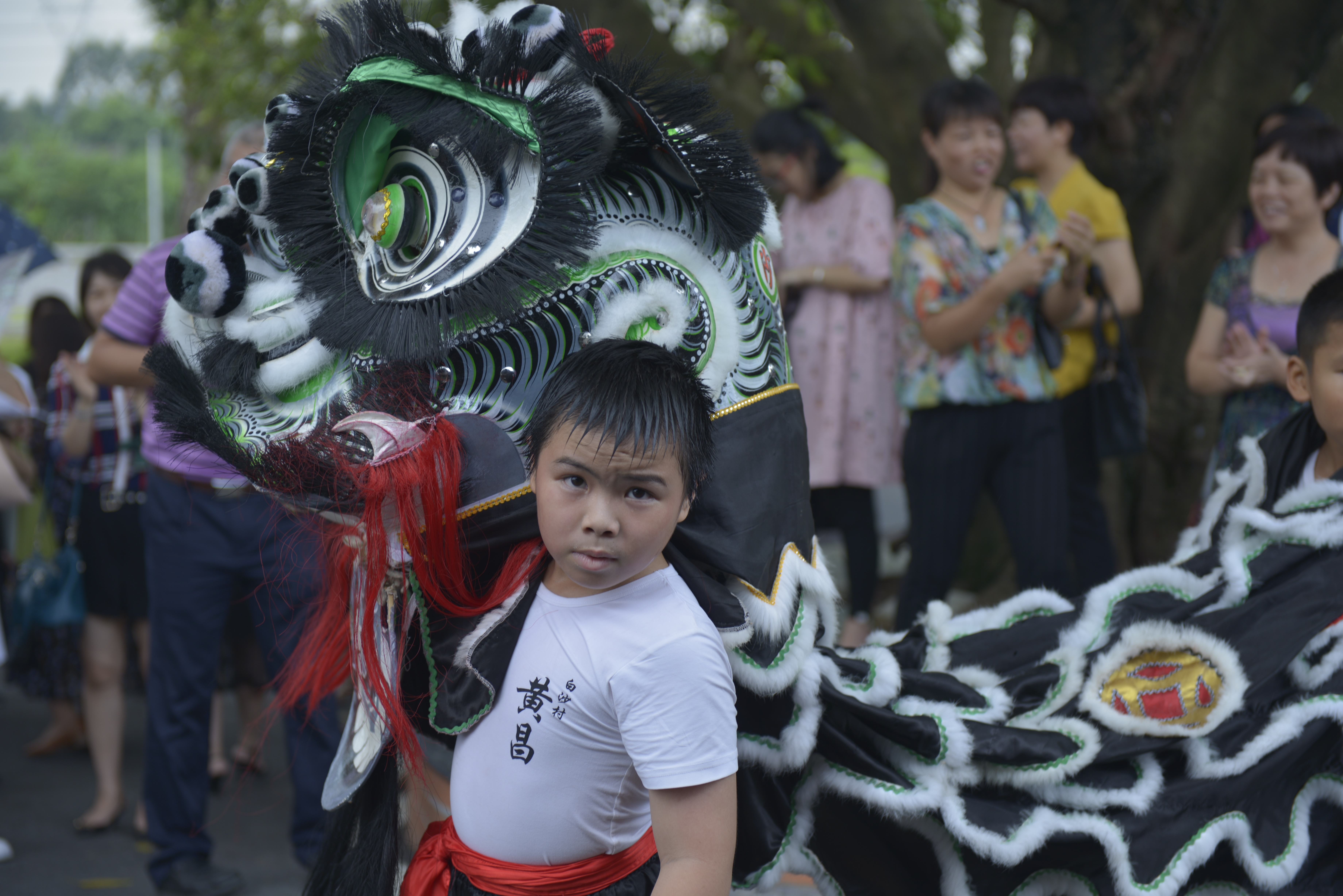 _01 CBB6506-潘赣明  自古英雄出少年.JPG