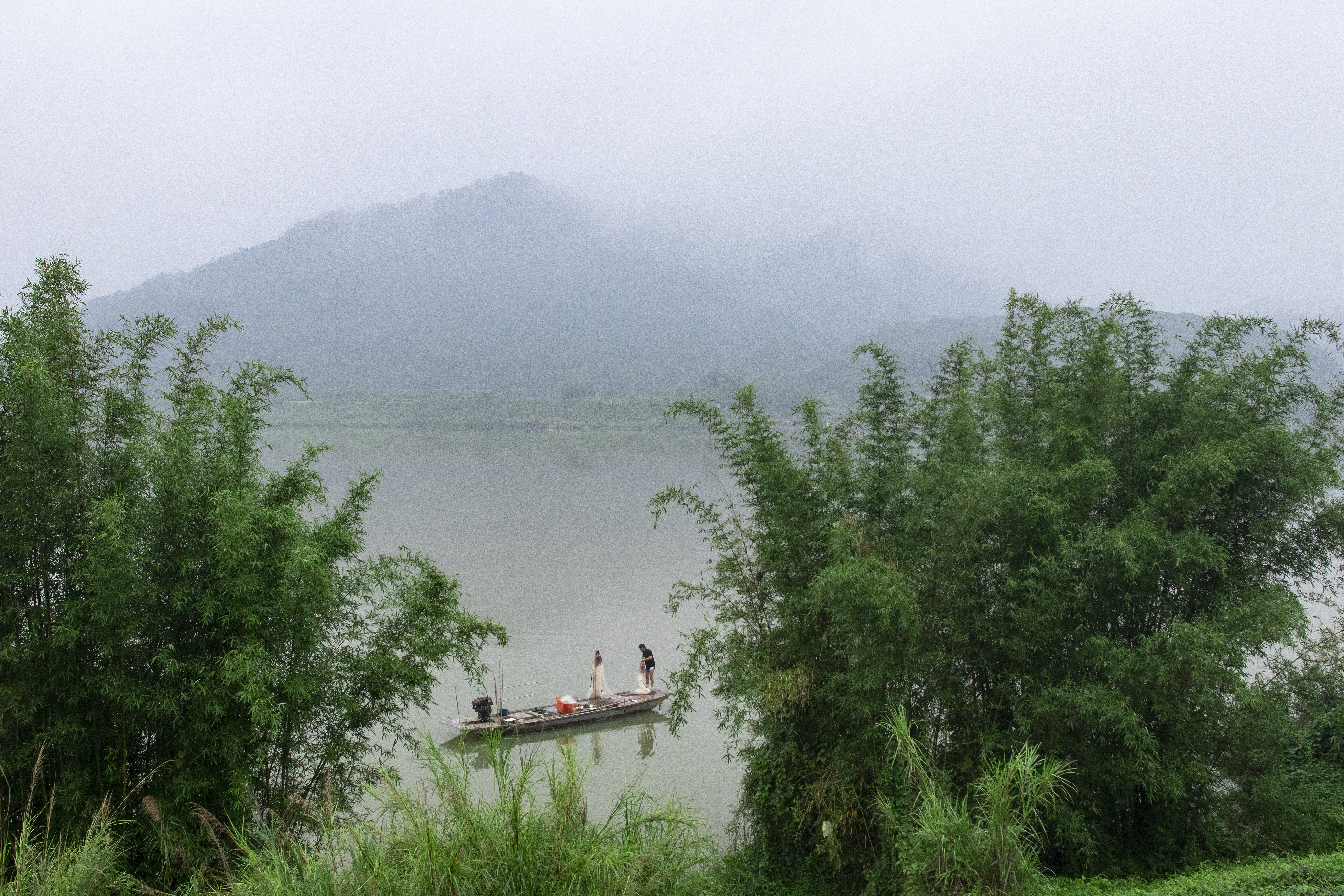 陈继强《绿水青山就是金山银山》(2).jpg