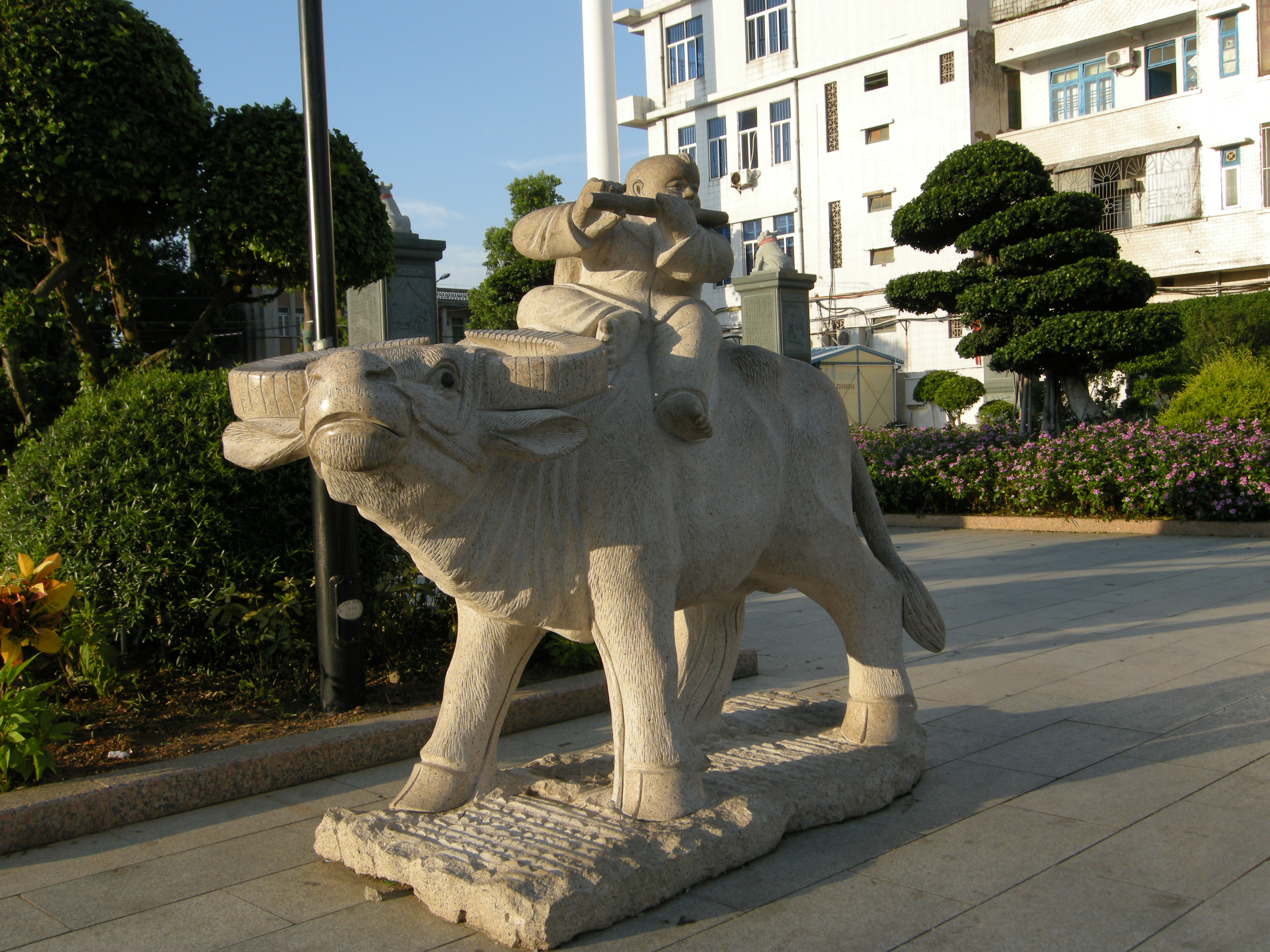 DSCN2455.jpg