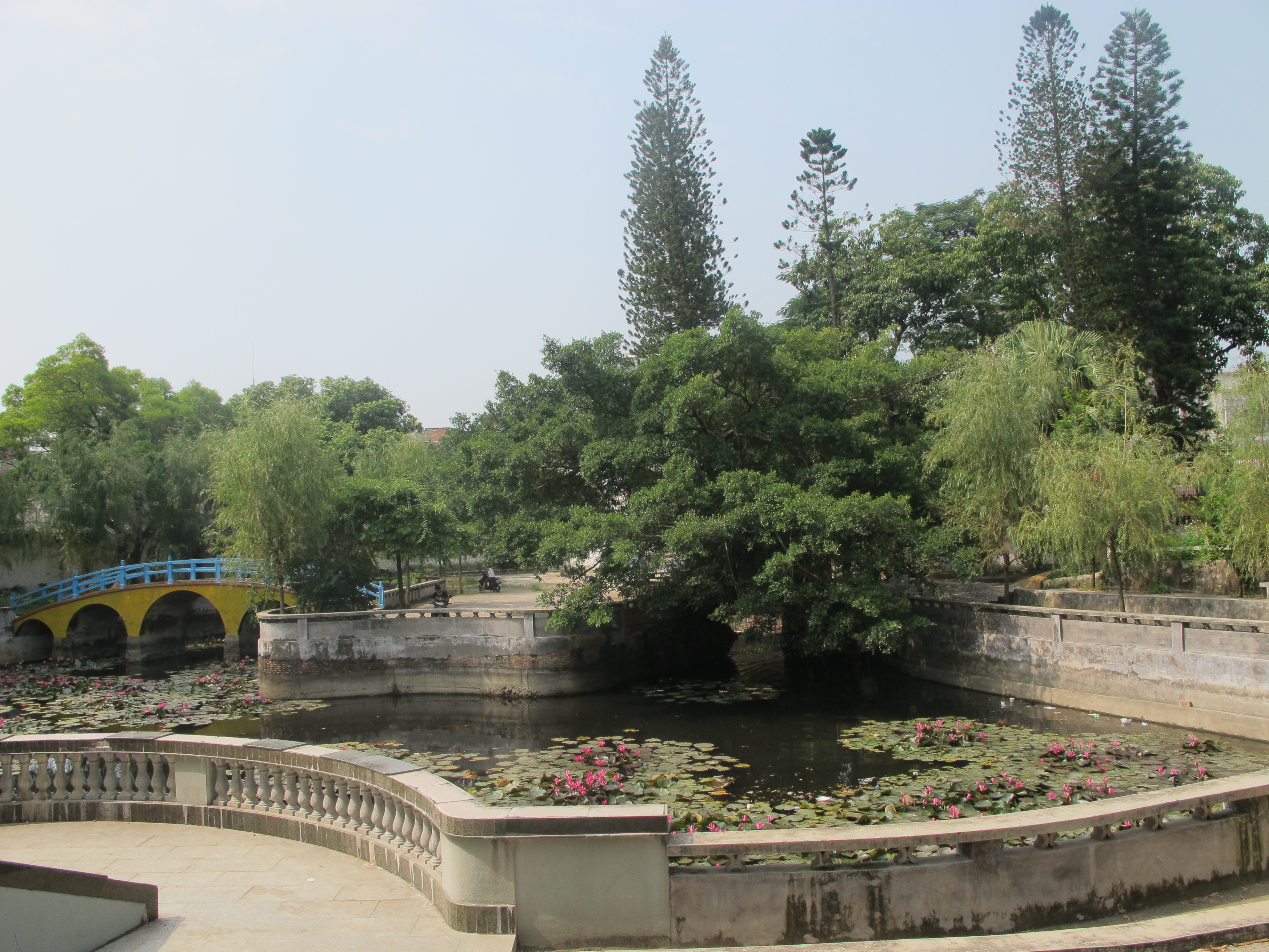 中山公园一角2.JPG