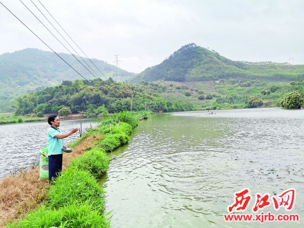 石海荣正在喂鱼。
西江日报记者 杨丽娟 摄