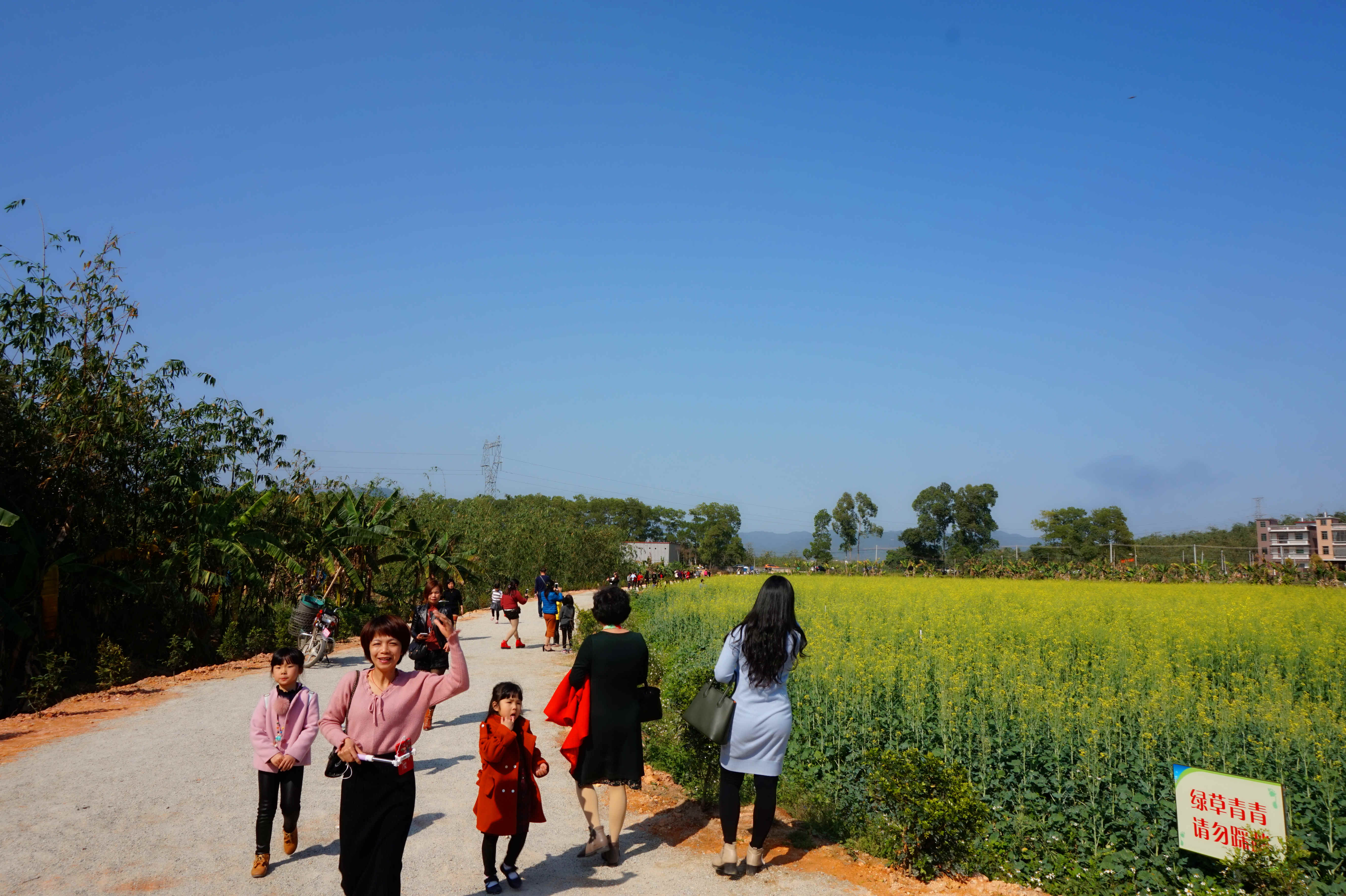 DSC03295_副本.jpg