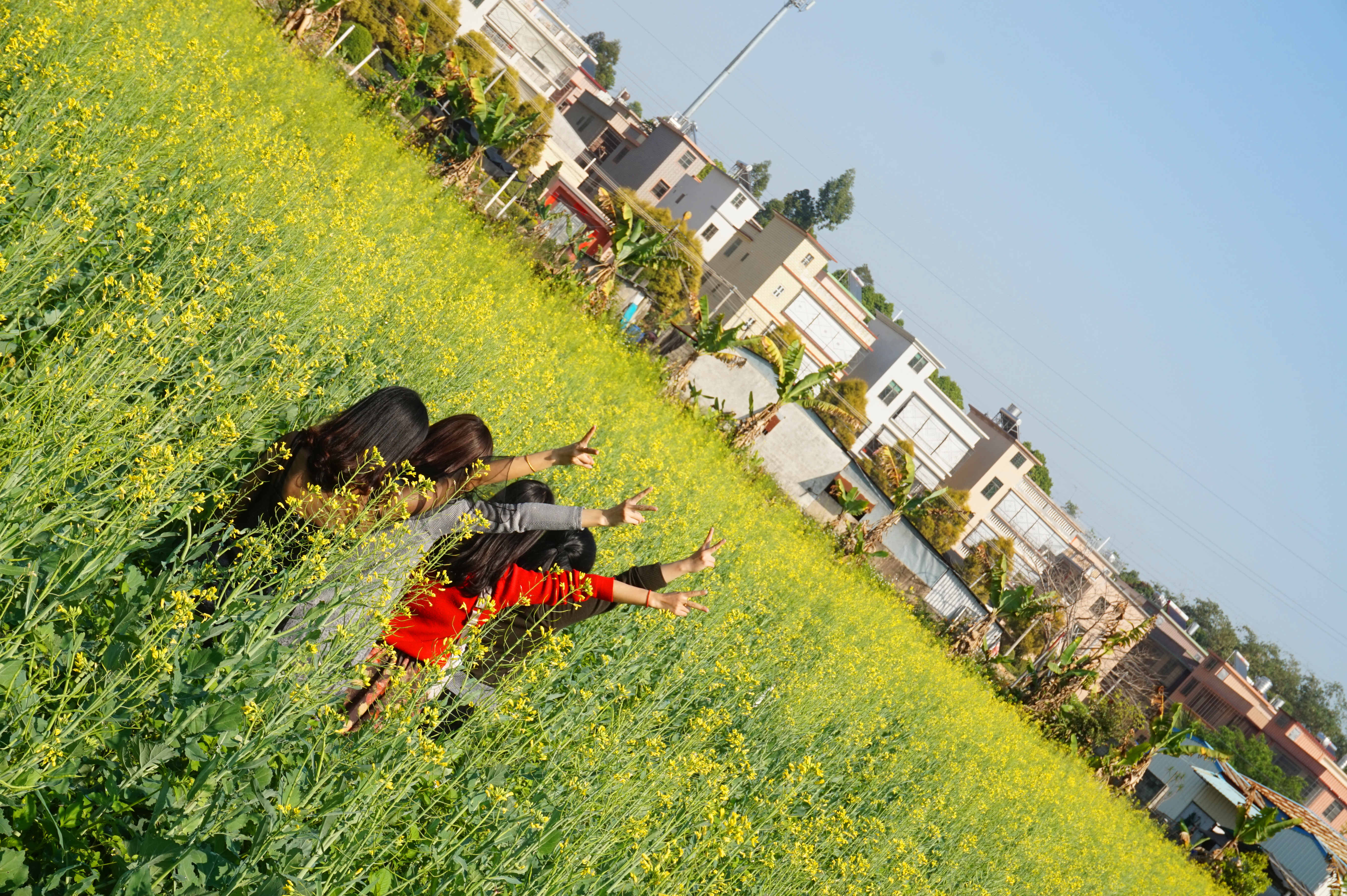 DSC03317_副本.jpg