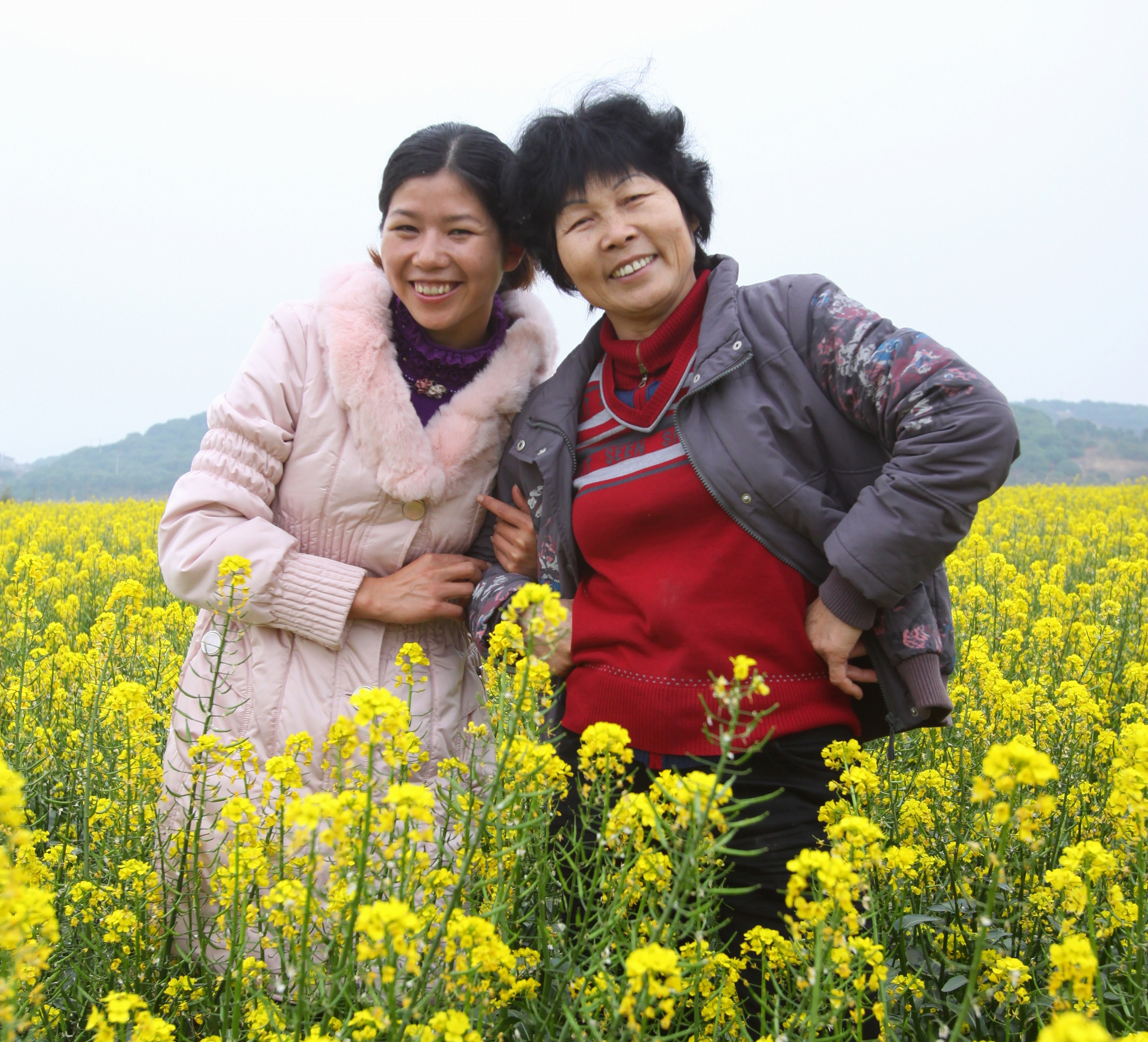 广东省廉江市罗炳森-花海.JPG