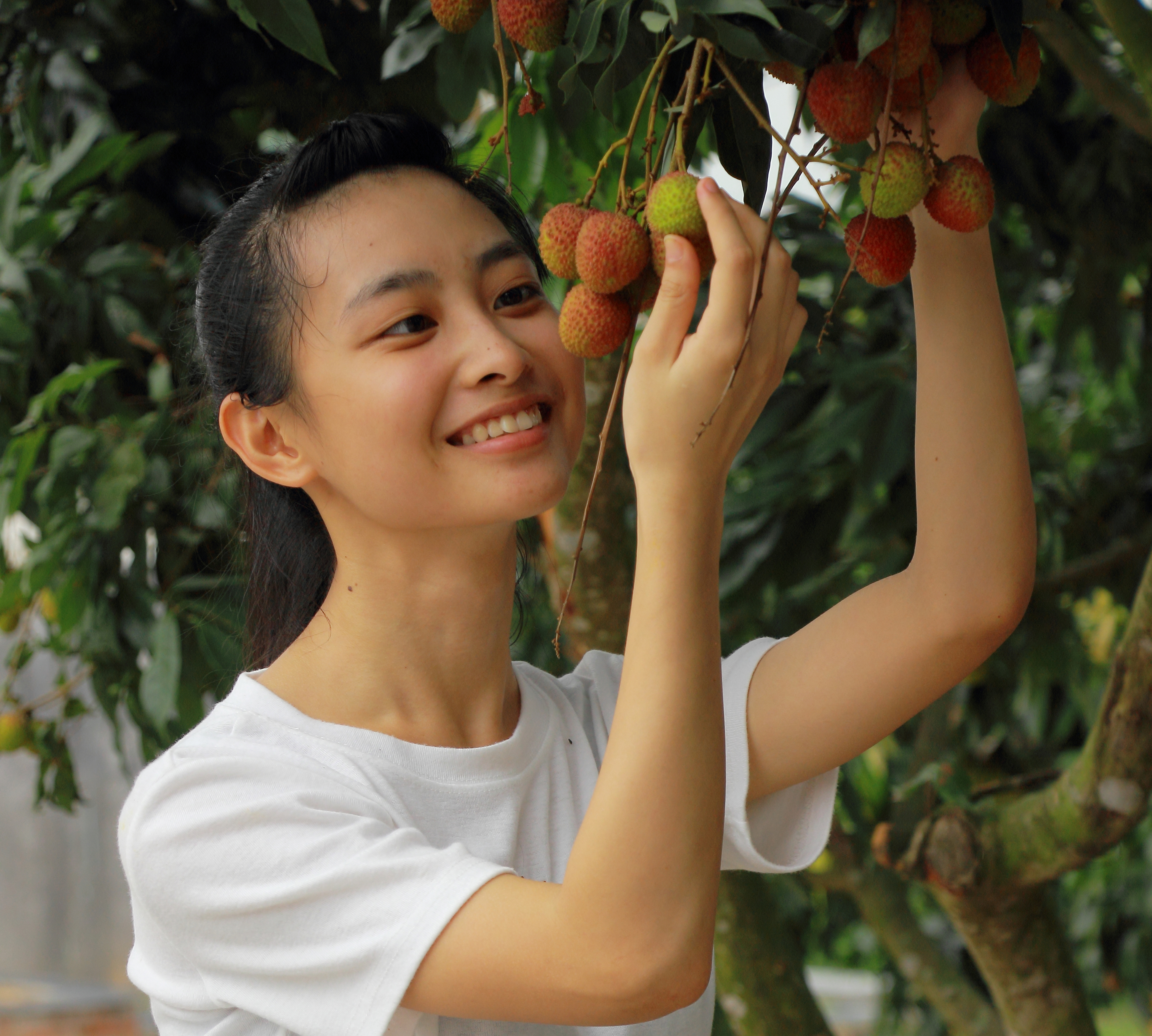 广东省廉江市罗炳森-摘下幸福.JPG