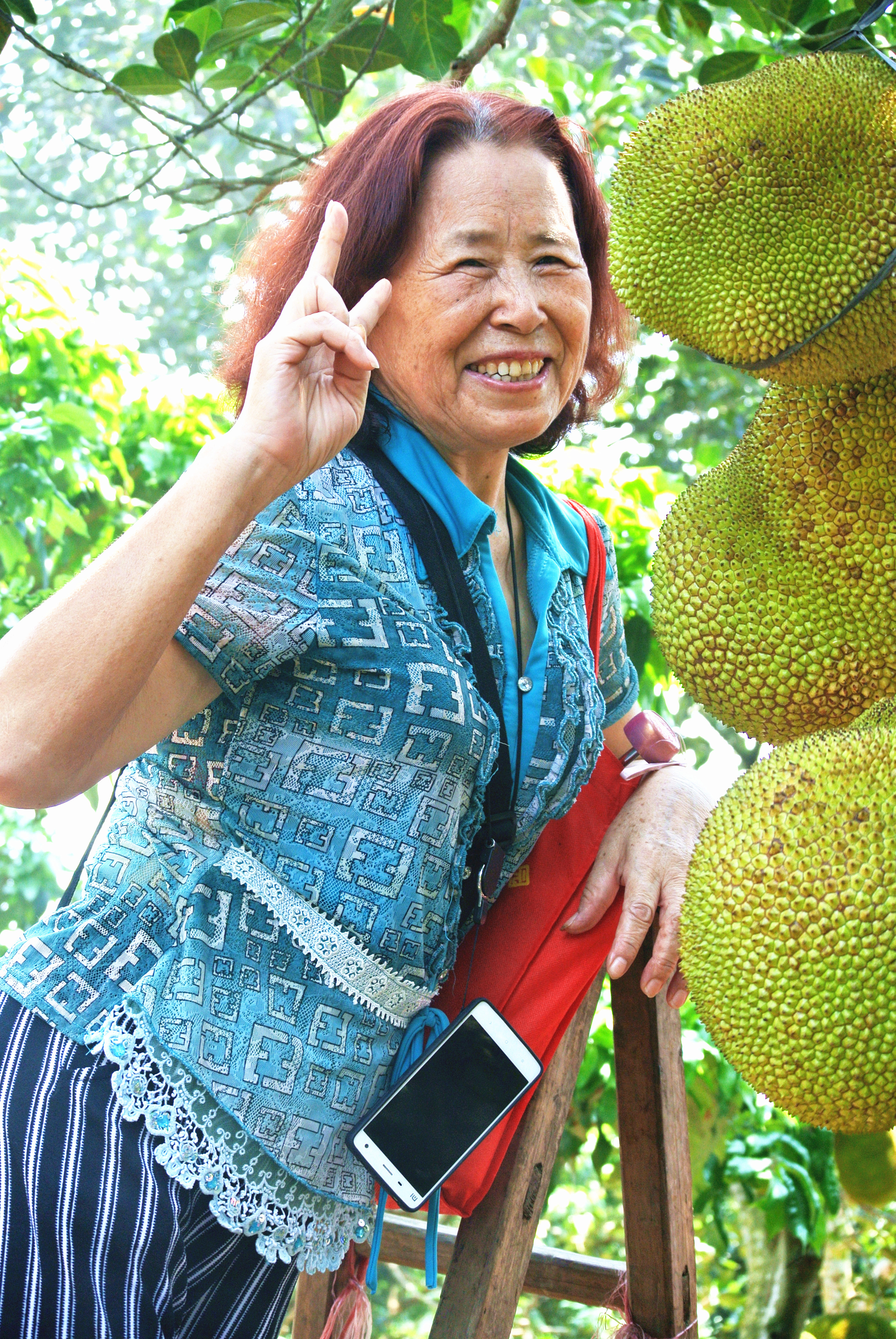 广东市廉江市刘钰滢-果林 (2).jpg