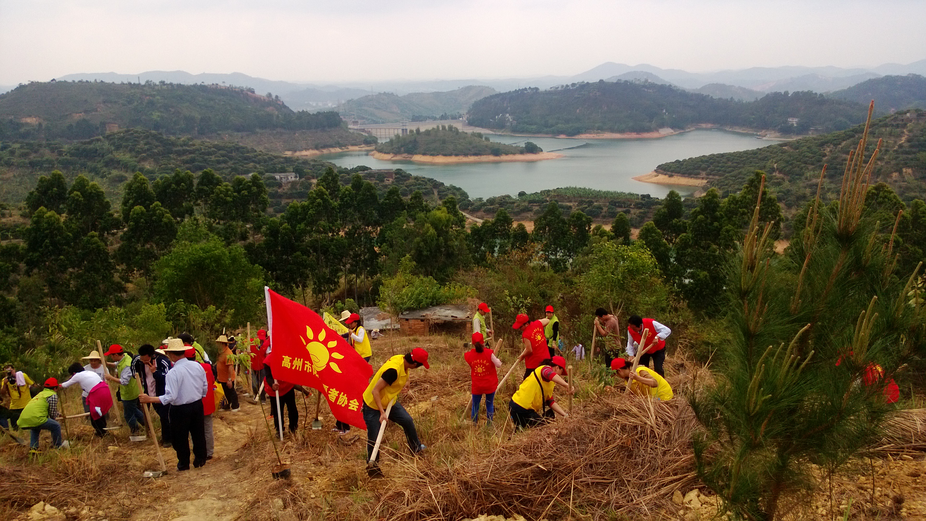 市志愿者在团市委等单位的组织下，在冼太圣母湖开展义务植树活动，打造了“车友林”和“青春林”两个义务植树基地。