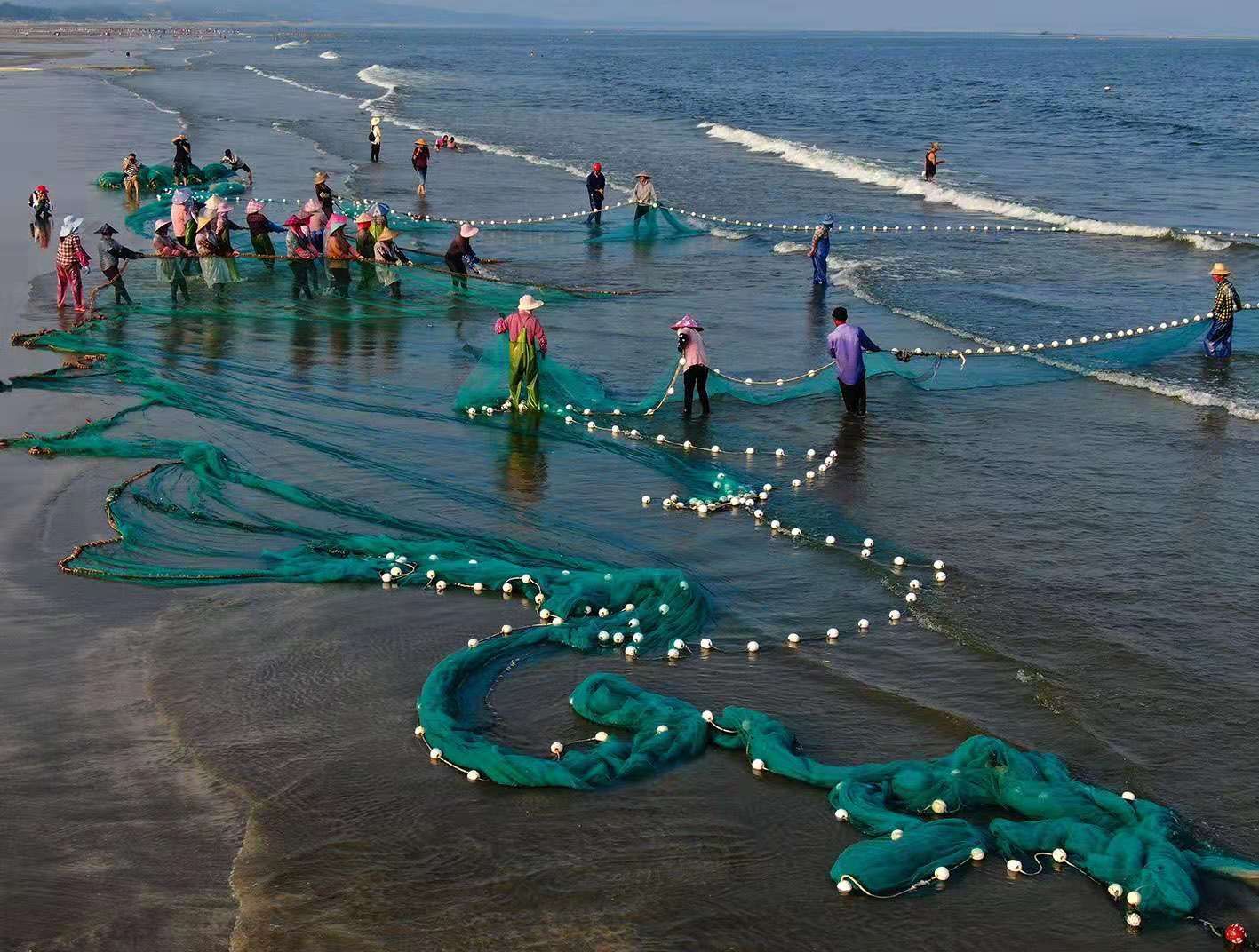 福建大埕湾图片