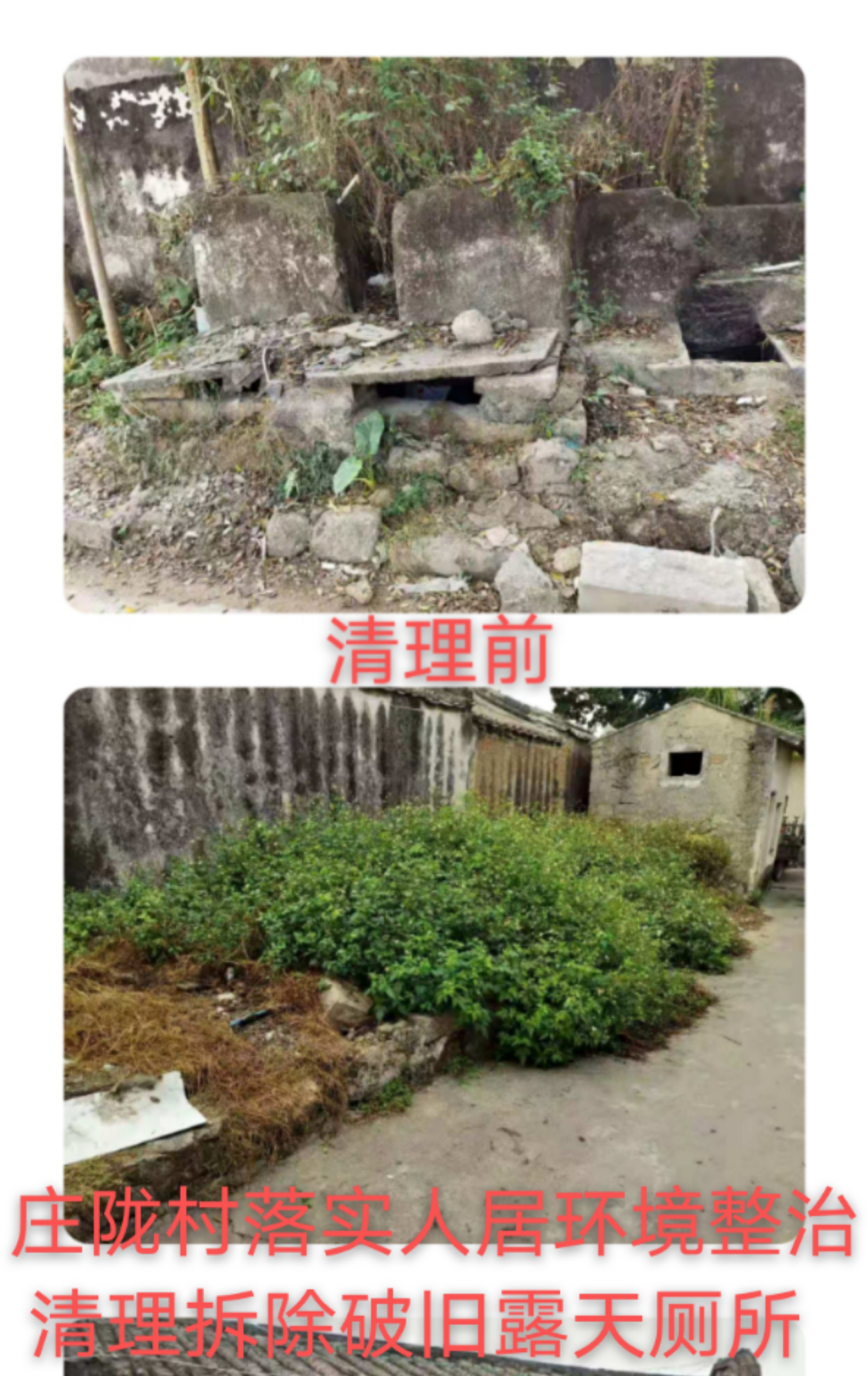 图片19.png