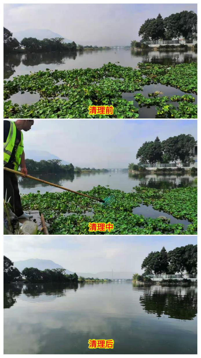 图片11.png