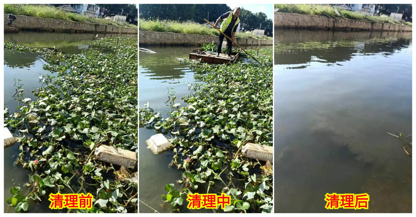 图片14.png
