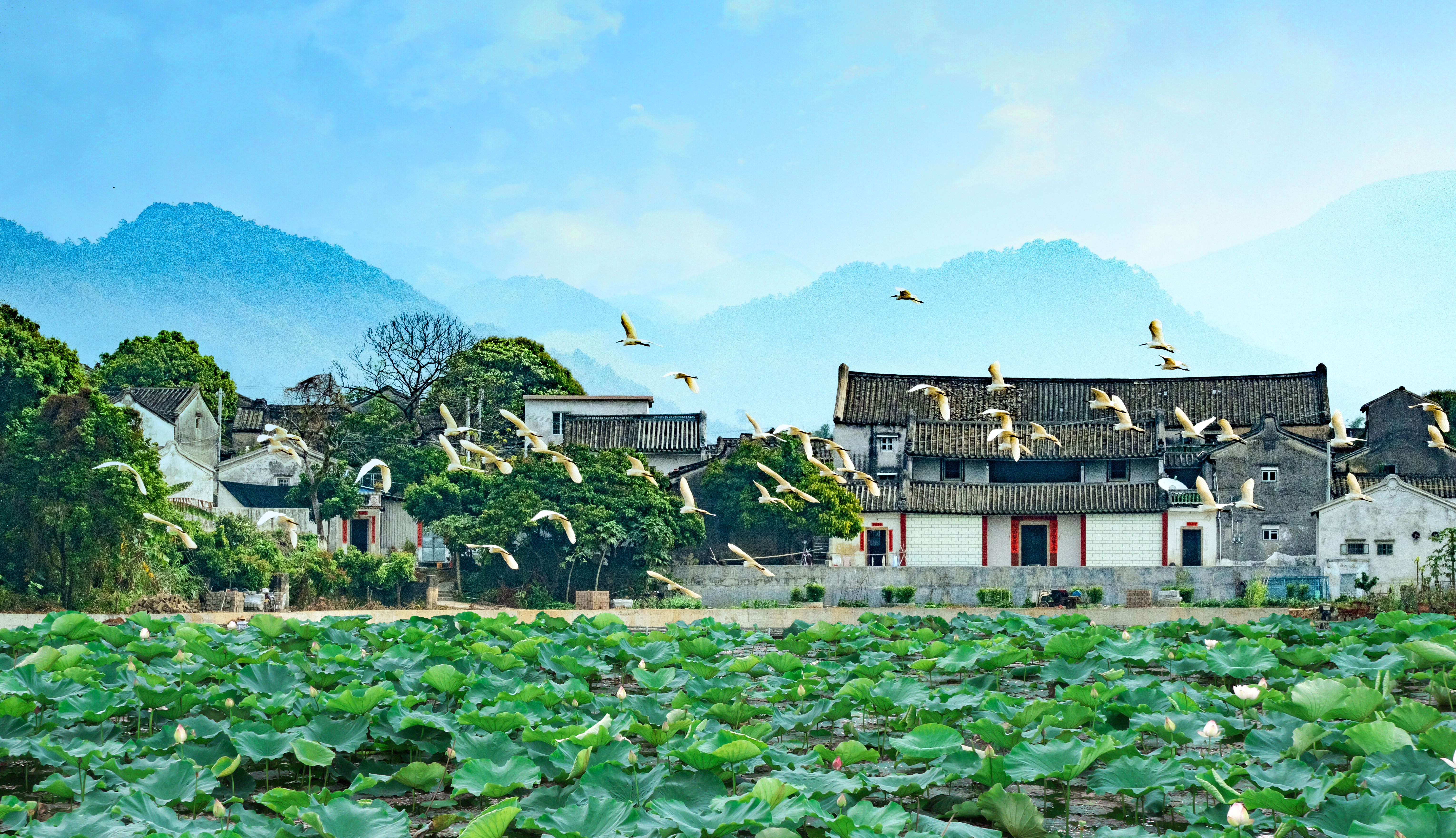 余利兴《山村如画》.jpg