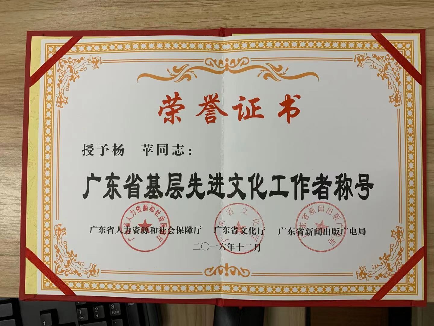 117 杨苹 广东省基层先进文化工作者.jpg