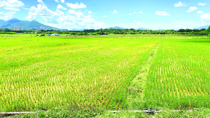     惠东进一步强化落实耕地保护目标责任制，耕地保有量、基本农田保护面积等目标任务全面完成。