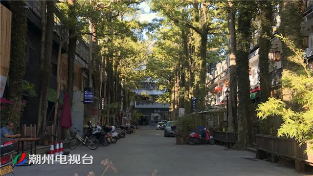 点击查看原图
