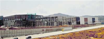 p48_b.jpg
