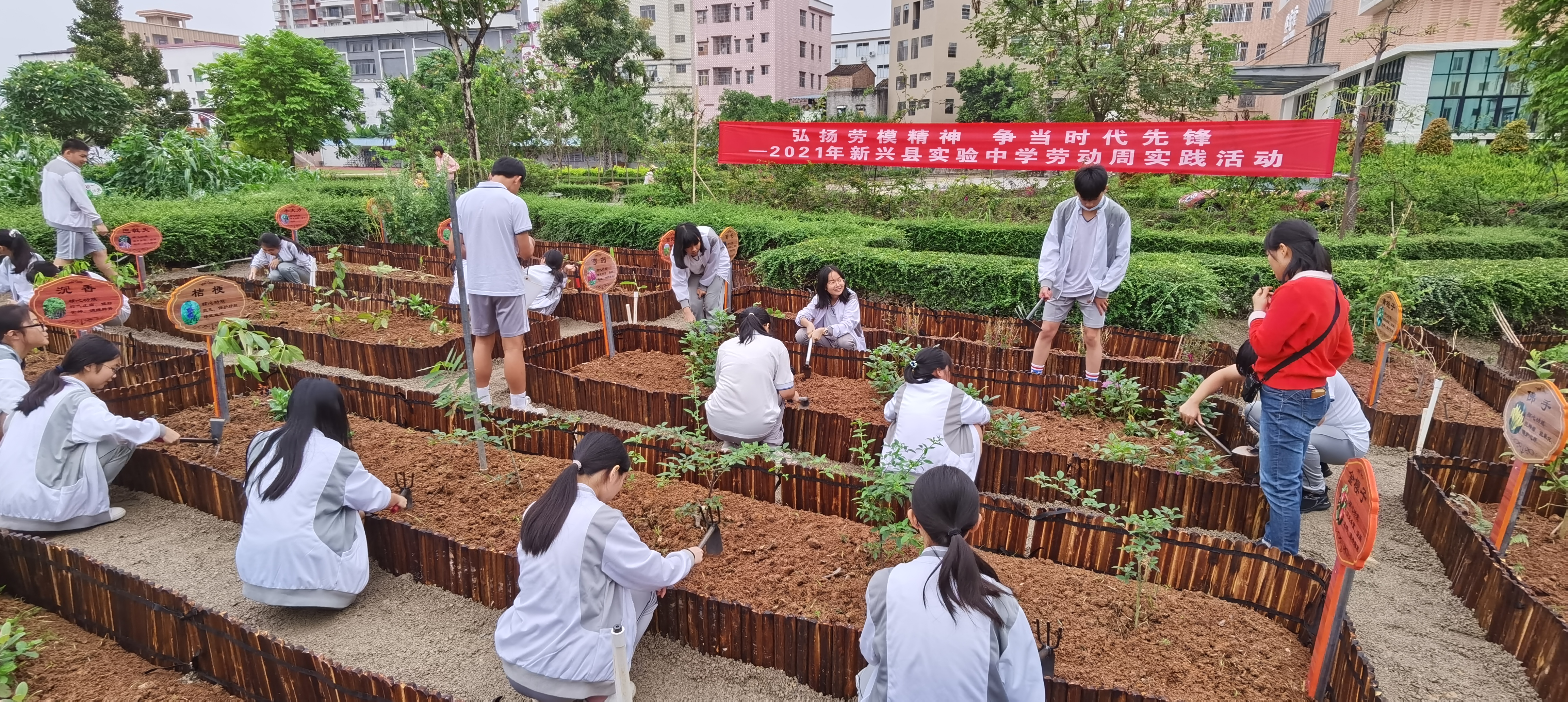 劳动周实践活动2.jpg